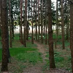Na Mazurach Lesne Zacisze