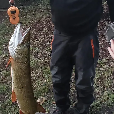 Na Mazurach Lesne Zacisze بيت خشبي