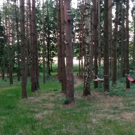 Na Mazurach Lesne Zacisze * Ostaszewo (Warmian-Masurian)