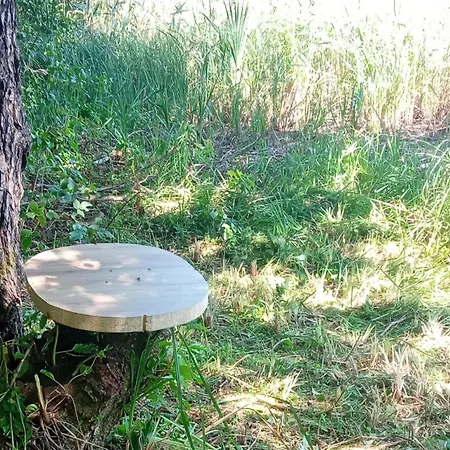 Na Mazurach Lesne Zacisze Lodge Ostaszewo (Warmian-Masurian)