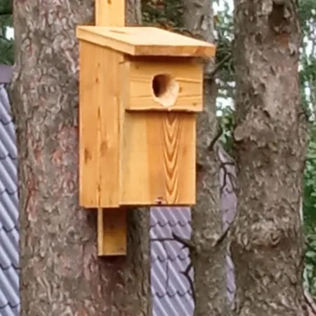 Na Mazurach Lesne Zacisze Ostaszewo (Warmian-Masurian)