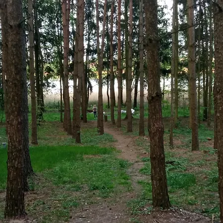 Na Mazurach Lesne Zacisze